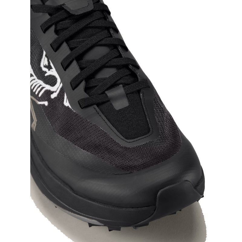 Chaussures Trail Homme Arc'teryx Sylan Pro