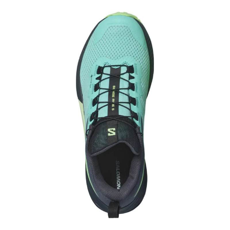 Chaussures Running / Trail Femme Salomon Sense Ride 5 GTX