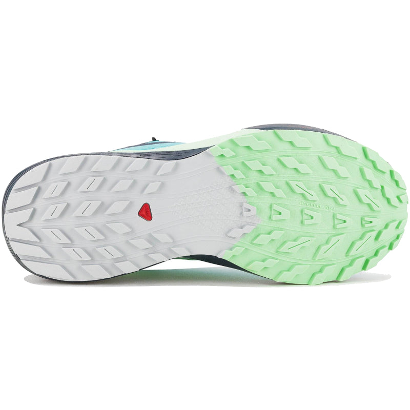 Chaussures Running / Trail Femme Salomon Sense Ride 5 GTX