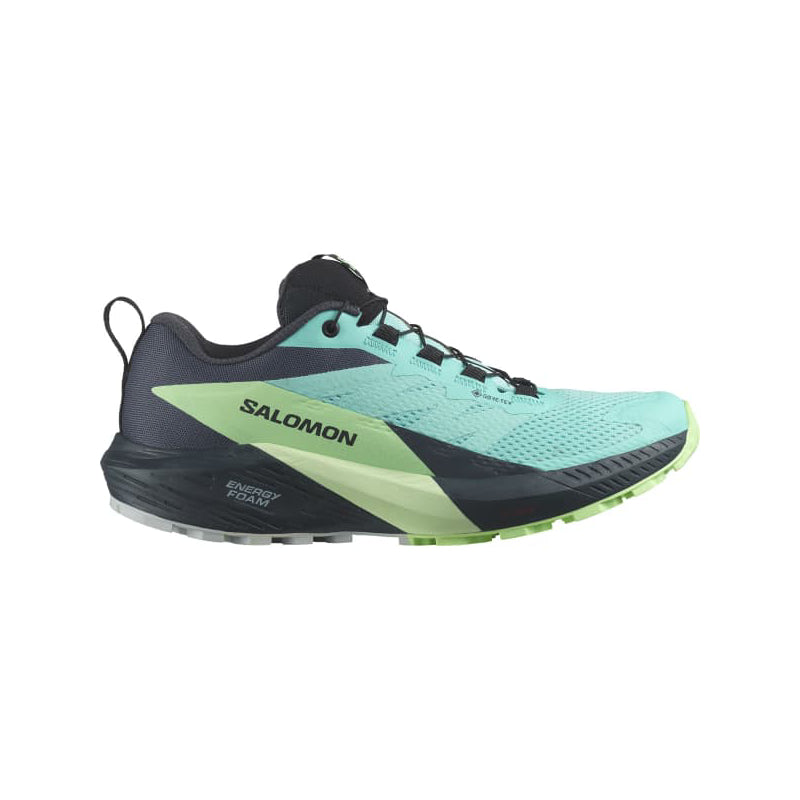Chaussures Running / Trail Femme Salomon Sense Ride 5 GTX