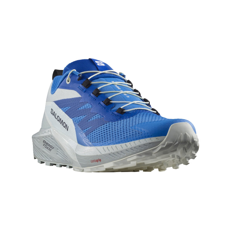 Chaussures Running / Trail Homme Salomon Sense Ride 5