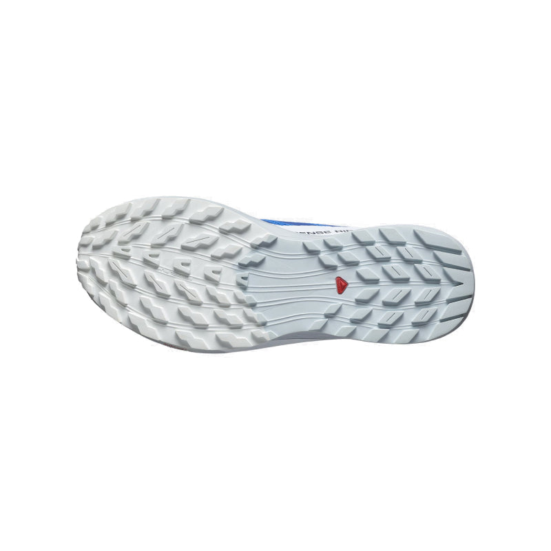 Chaussures Running / Trail Homme Salomon Sense Ride 5