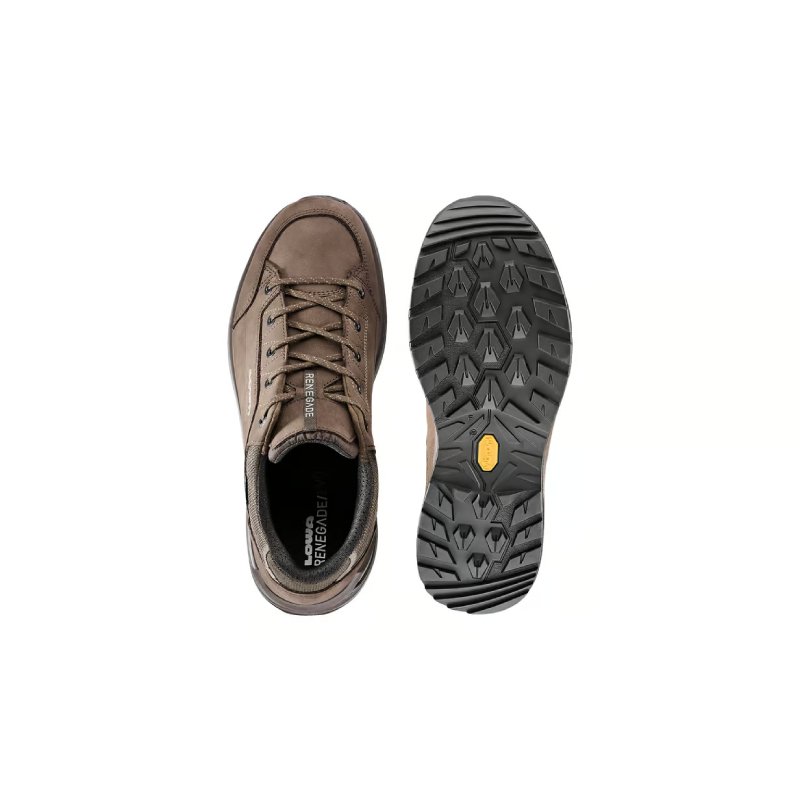 Chaussures Randonnée Homme Lowa Renegade Evo GTX Low