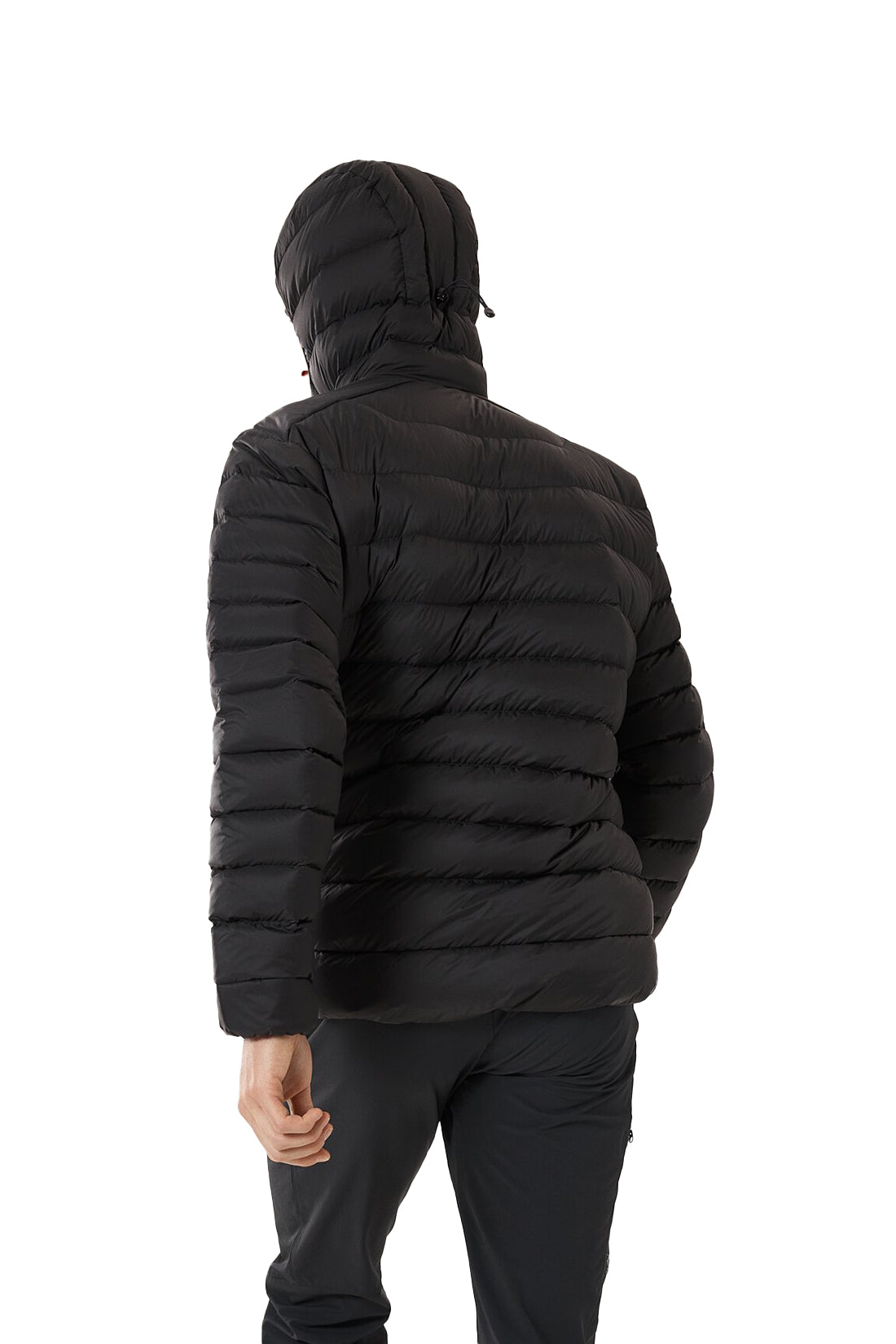 Veste à Capuche Homme Arc'teryx Cerium