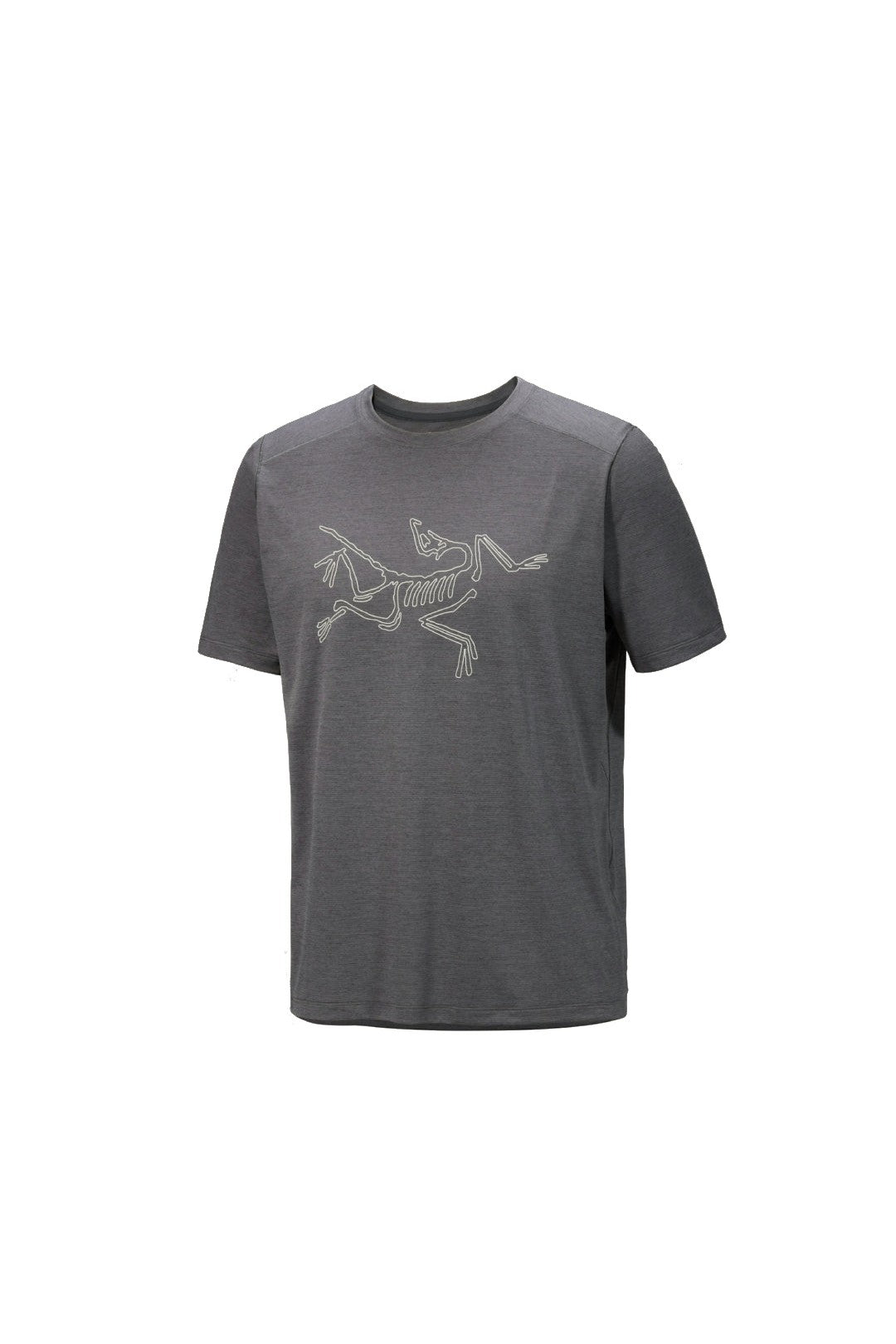 T-Shirt Randonnée Homme Arc'teryx Cormac Logo SS