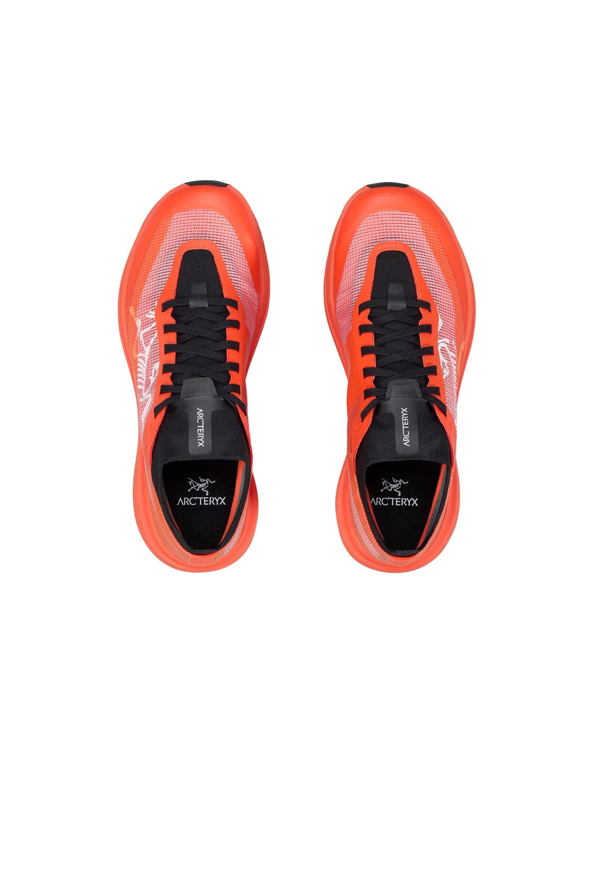 Chaussures Randonnée Homme Arc'teryx Sylan Pro