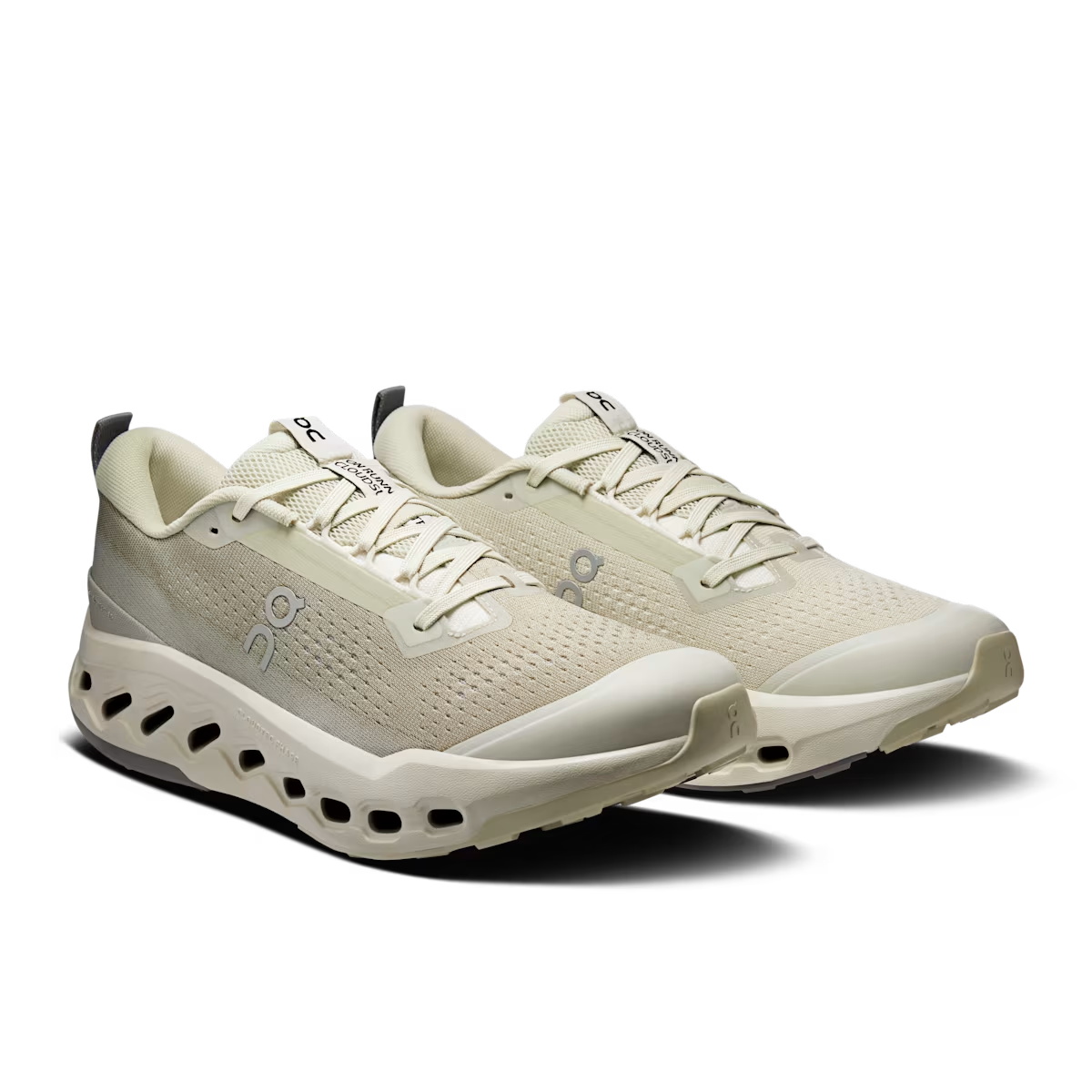 Chaussures Trail Homme ON Cloudsurfer Trail 2