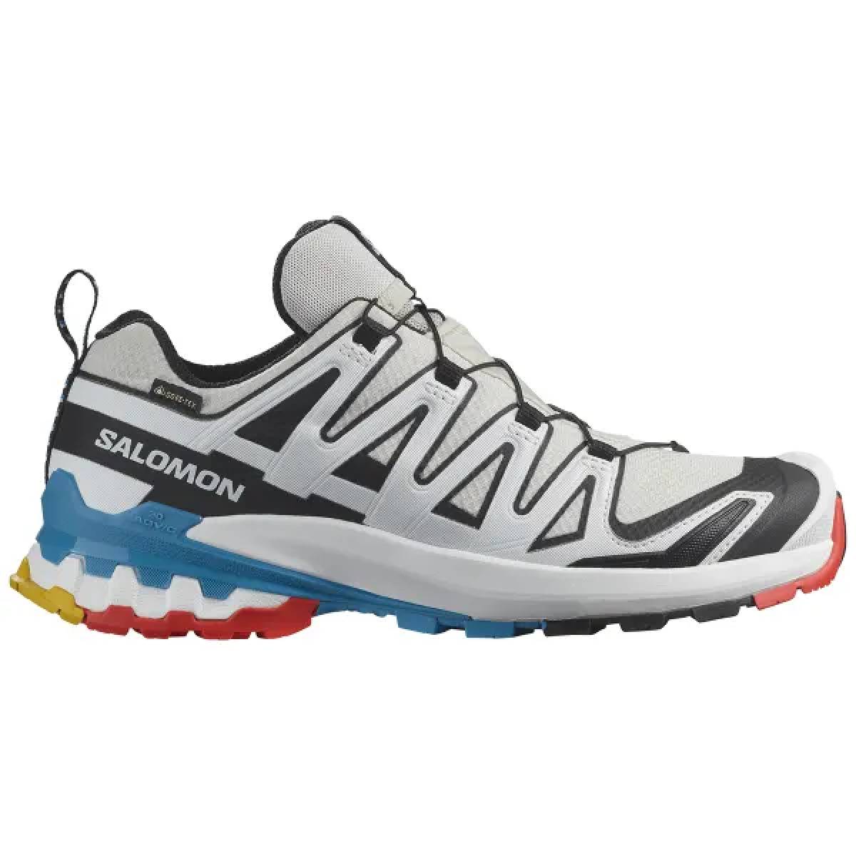 Chaussures Randonnée Femme Salomon XA PRO 3D V9 GTX