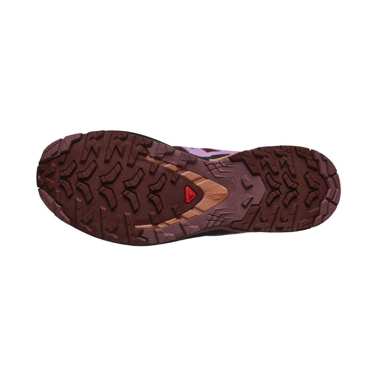 Chaussures Randonnée Femme Salomon XA PRO 3D V9