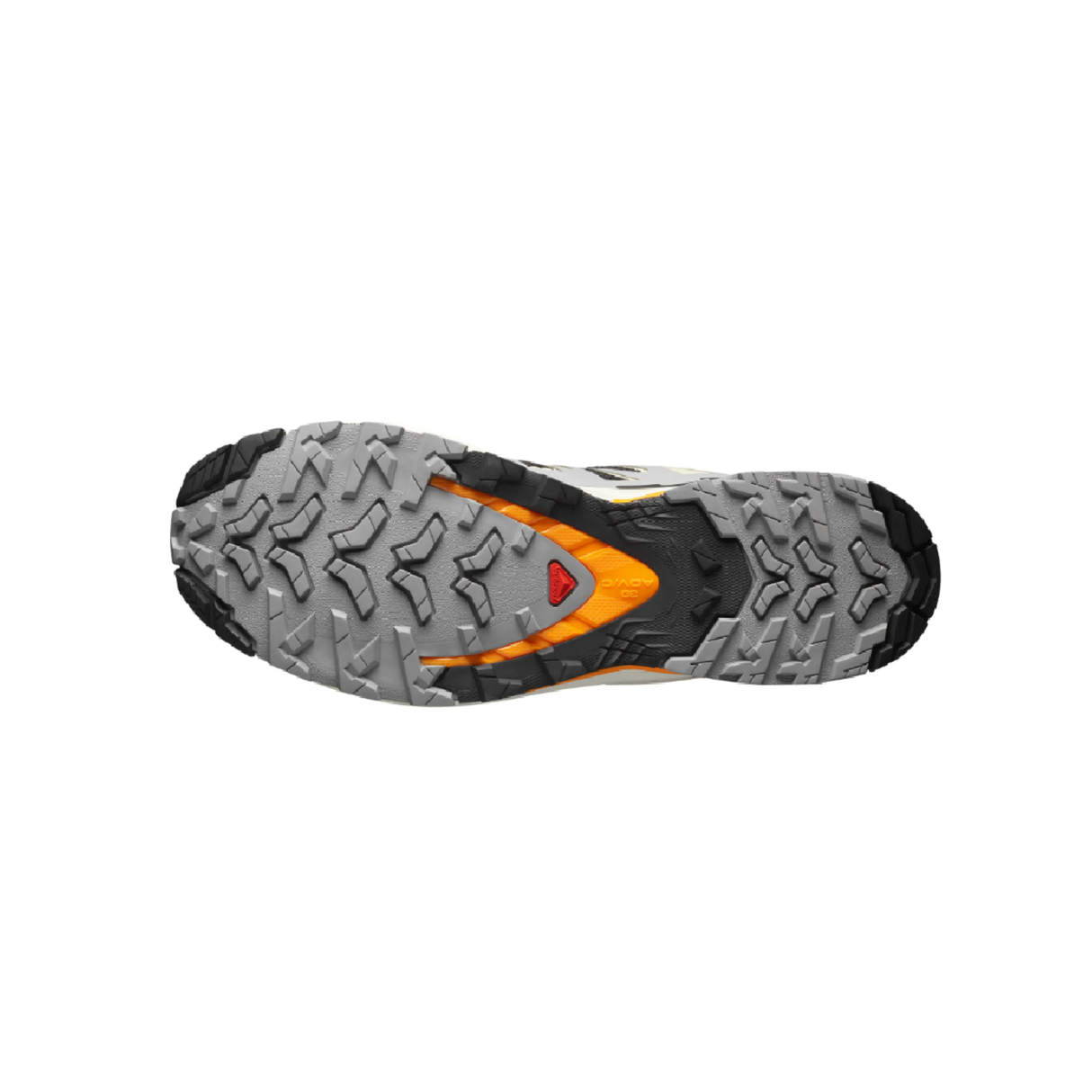 Chaussures Randonnée Homme Salomon XA PRO 3D V9 M