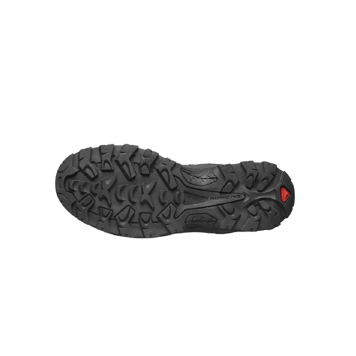 Chaussures Randonnée Homme Salomon Quest Rove GTX