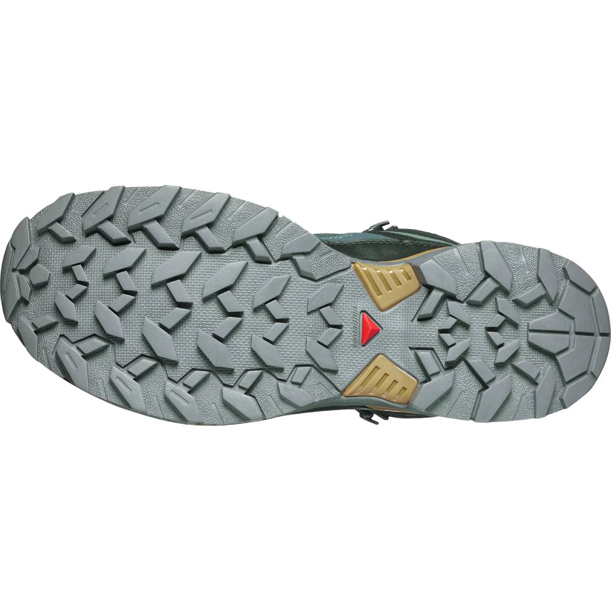 Chaussures Randonnée Homme Salomon X Ultra 360 Edge Mid Gtx