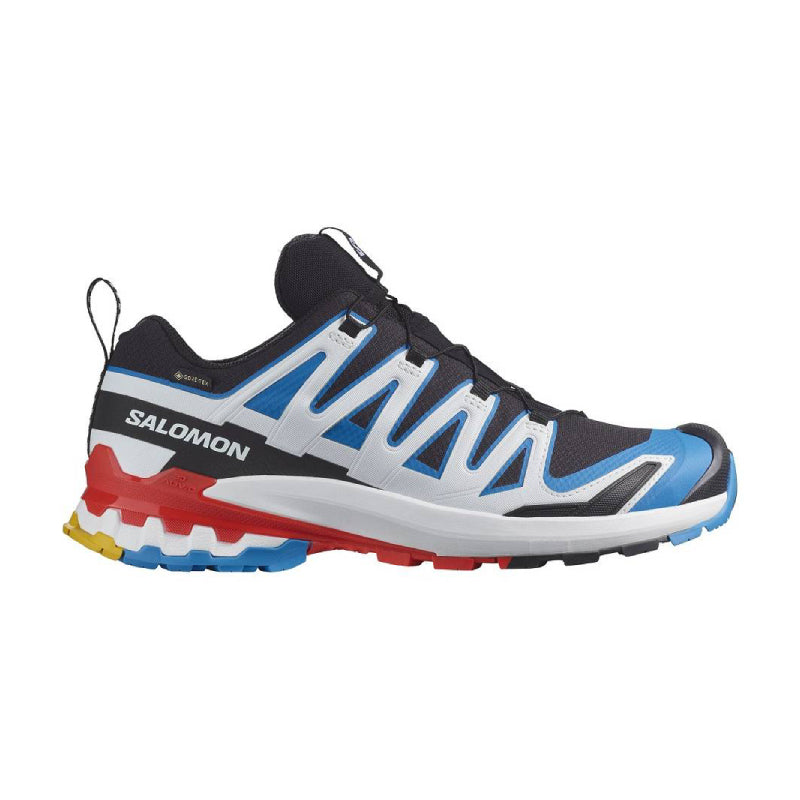 Chaussures Randonnée Homme Salomon XA PRO 3D V9 GTX