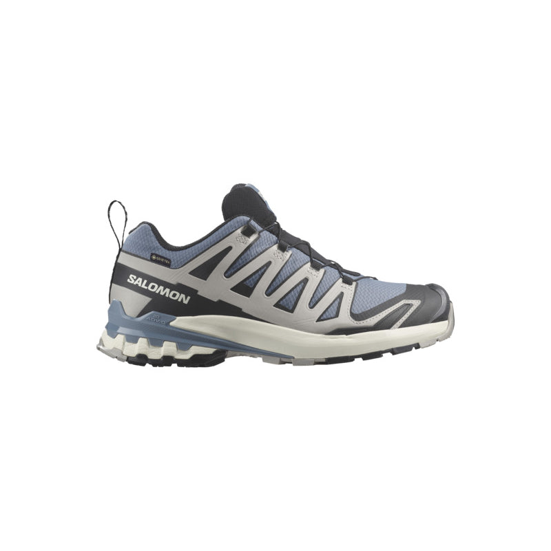 Chaussures Randonnée Homme Salomon XA PRO 3D V9 GTX
