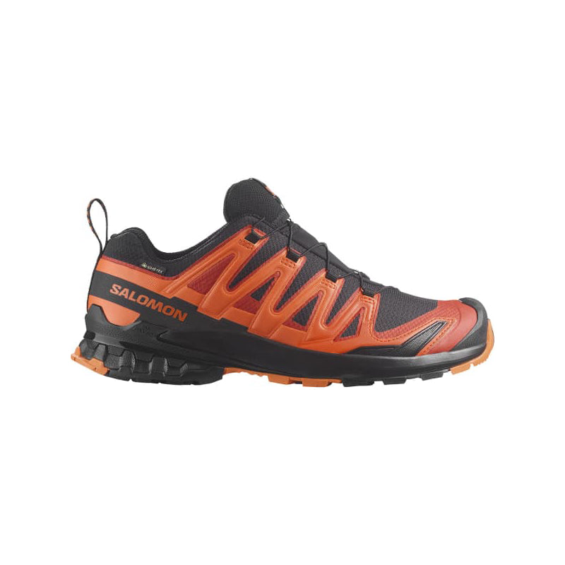 Chaussures Randonnée Homme Salomon XA PRO 3D V9 GTX