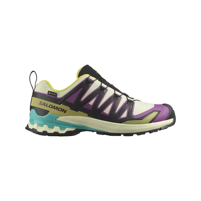 Chaussures Randonnée Homme Salomon XA PRO 3D V9 GTX