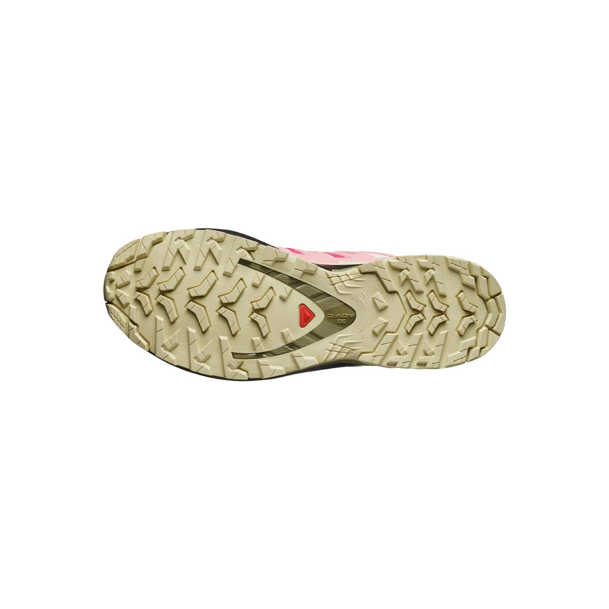 Chaussures Randonnée Femme Salomon XA PRO 3D V9 GTX