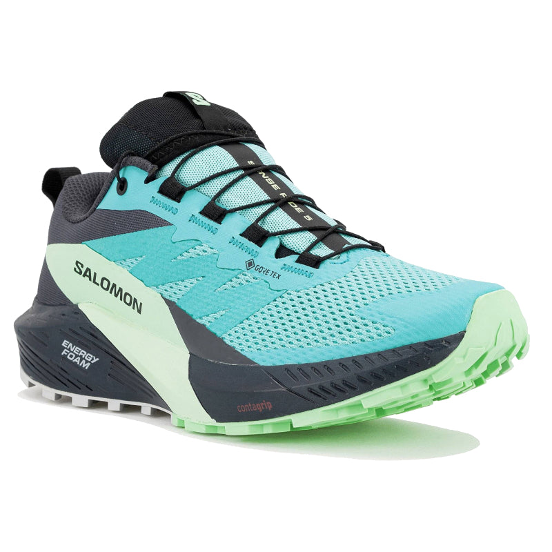 Chaussures Running / Trail Femme Salomon Sense Ride 5 GTX