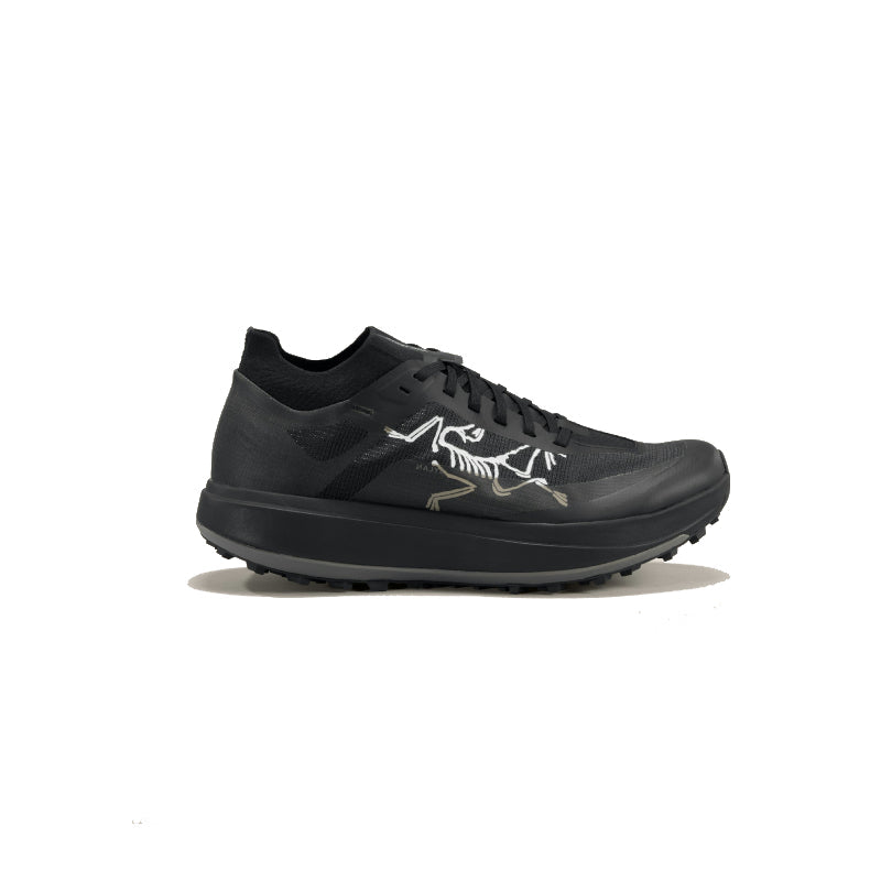 Chaussures Trail Homme Arc'teryx Sylan Pro