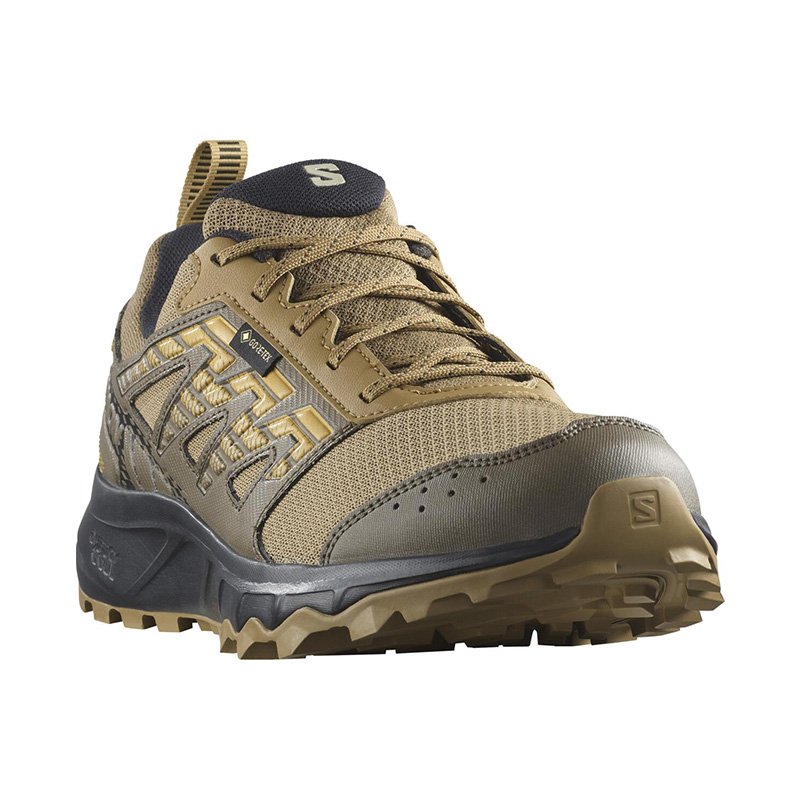 Chaussures Trail Homme Salomon Wander GTX