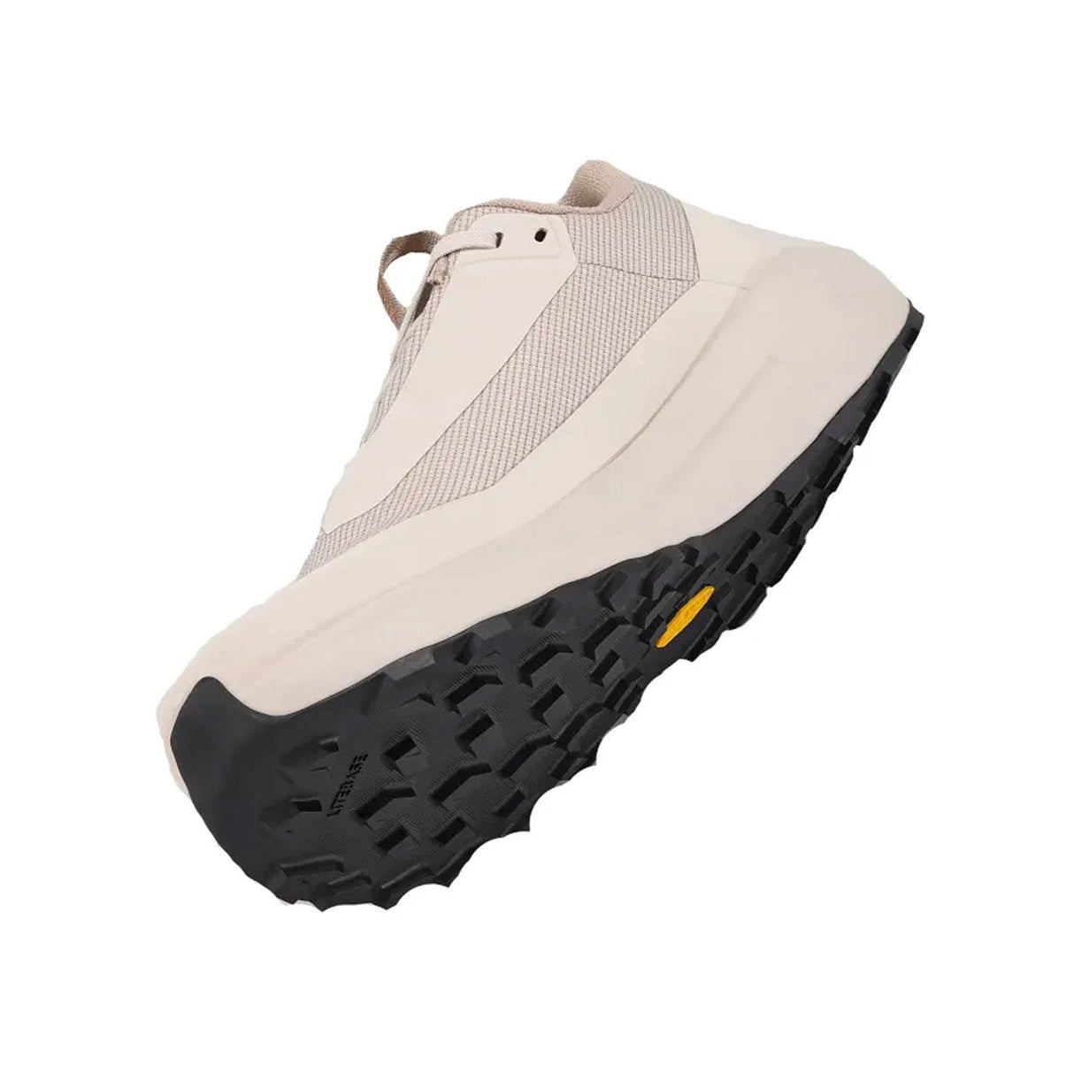 Chaussures Randonnée Homme Arc'teryx Norvan LD 4 GTX