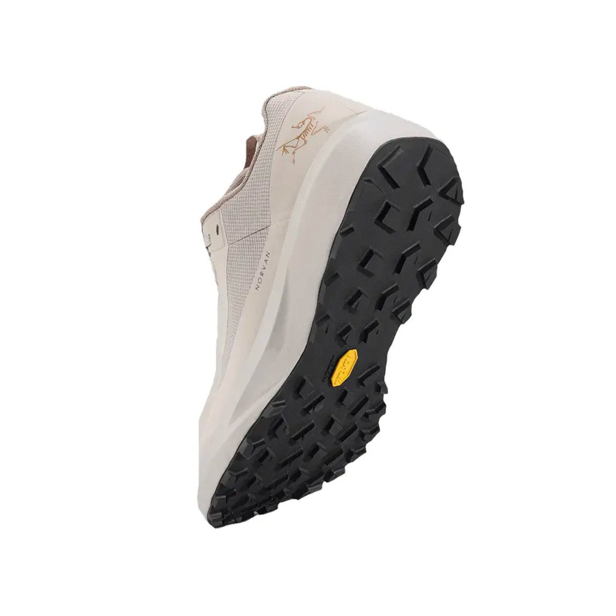 Chaussures Randonnée Homme Arc'teryx Norvan LD 4 GTX