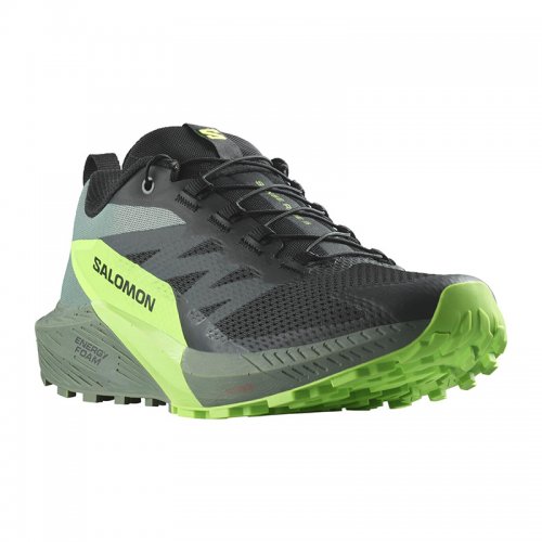 Chaussures Running / Trail Homme Salomon Sense Ride 5 - montisport.fr