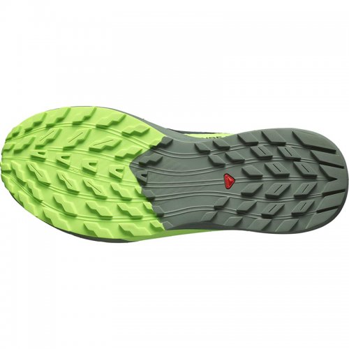 Chaussures Running / Trail Homme Salomon Sense Ride 5 - montisport.fr