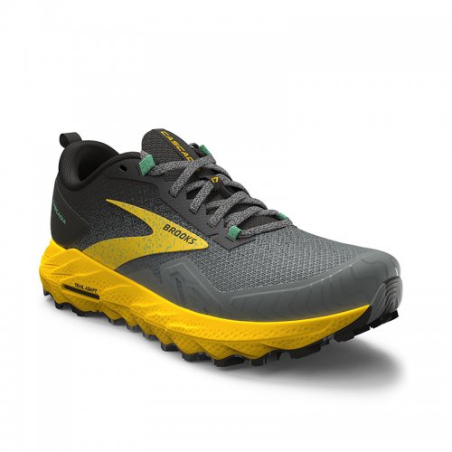 Chaussures Trail Homme Brooks Cascadia 17 - montisport.fr