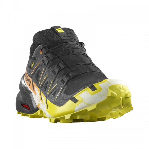 Chaussures Trail Homme Salomon Speedcross 6 GTX - montisport.fr