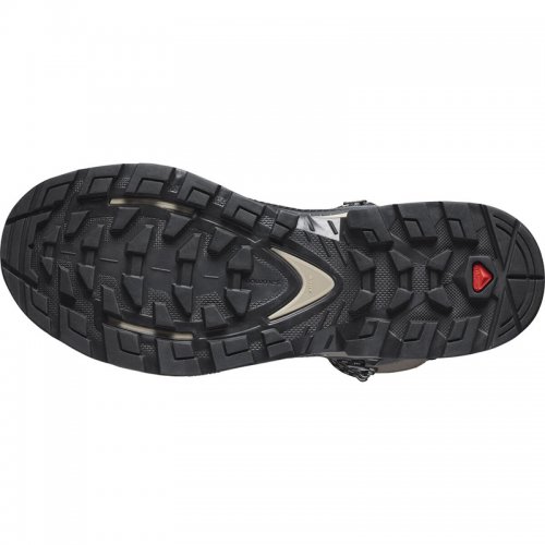Chaussures Randonnée Femme Salomon Quest Element GTX - montisport.fr
