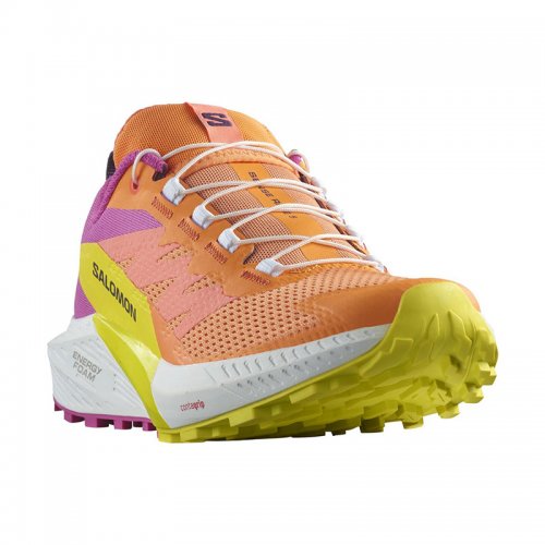 Chaussures Running / Trail Femme Salomon Sense Ride 5 - montisport.fr