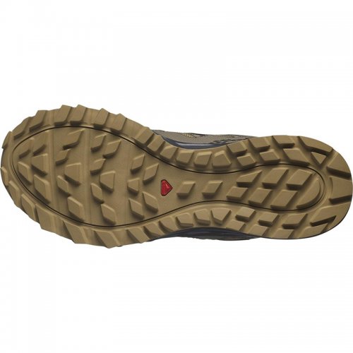 Chaussures Trail Homme Salomon Wander GTX - montisport.fr