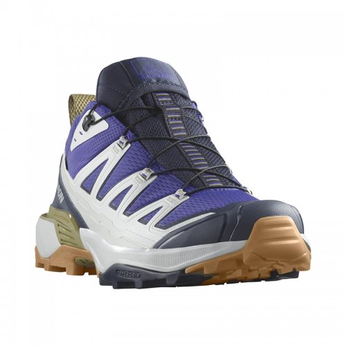 Chaussures Randonnée Homme Salomon X Ultra 360 Edge GTX - montisport.fr