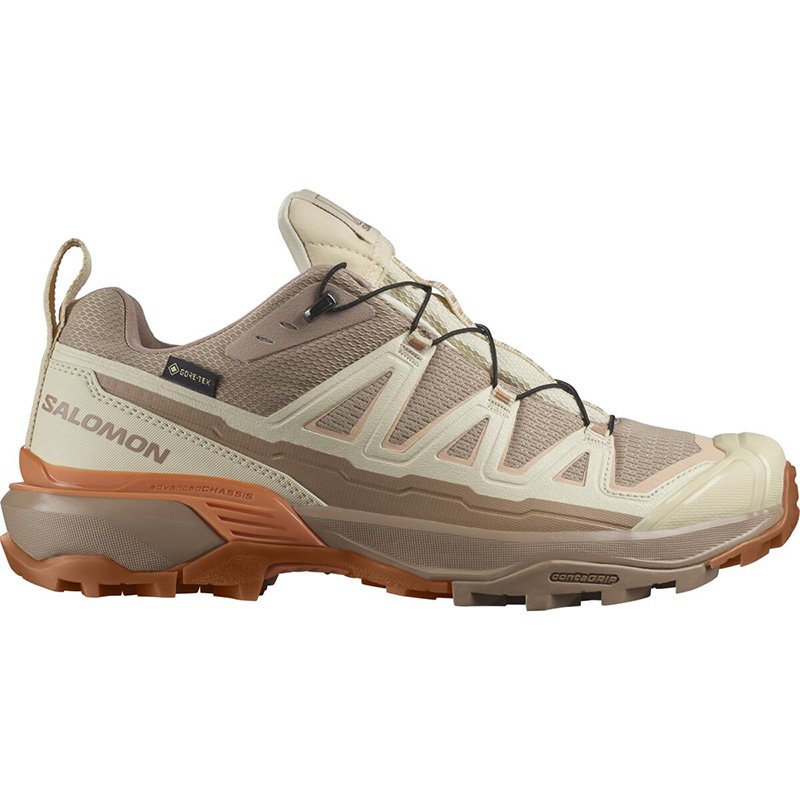 Chaussures Randonnee Femme Salomon X Ultra 360 Edge GTX