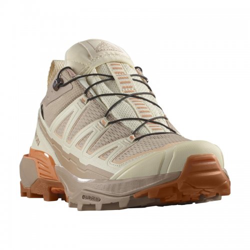 Chaussures Randonnée Femme Salomon X Ultra 360 Edge GTX - montisport.fr