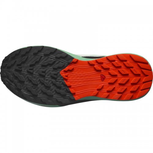 Chaussures Running / Trail Femme Salomon Sense Ride 5 - montisport.fr