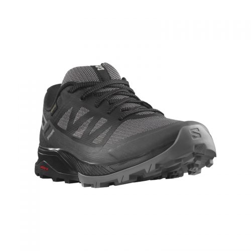 Chaussures Running / Trail Femme Salomon Outrise GTX - montisport.fr