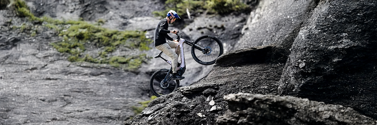 HAIBIKE