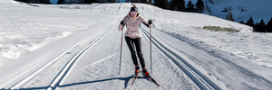 Bâtons de Ski