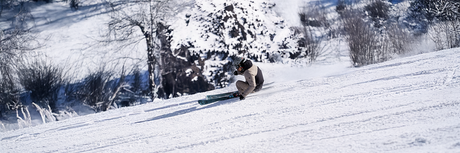 Skis Alpins