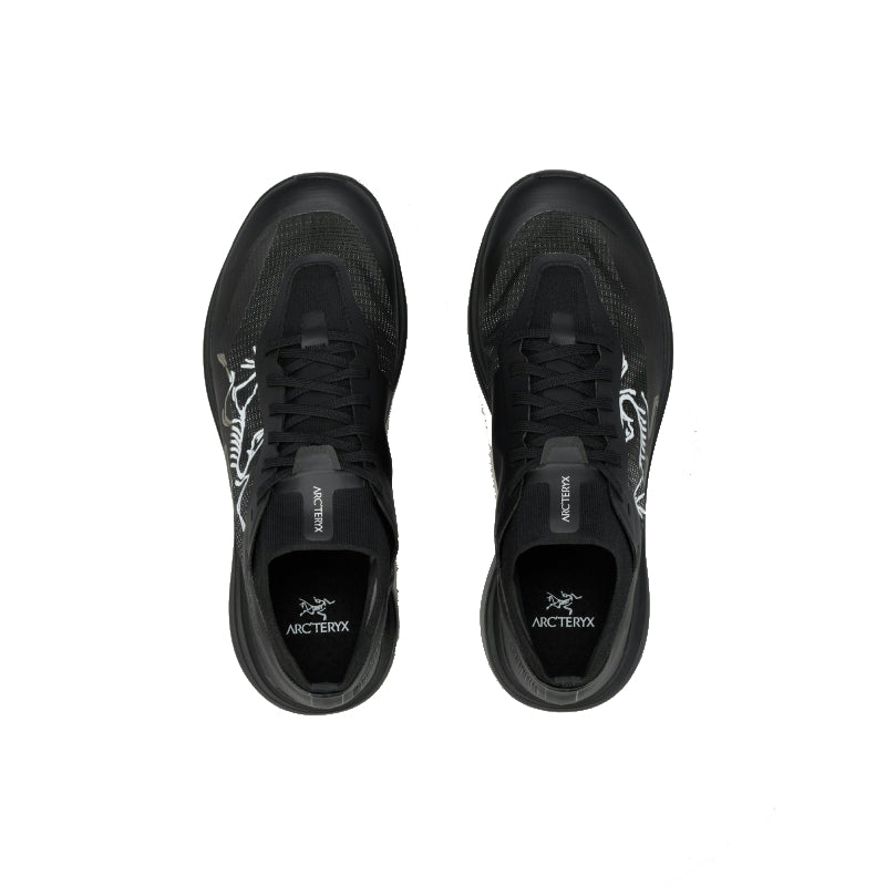 Chaussures Trail Homme Arc'teryx Sylan Pro