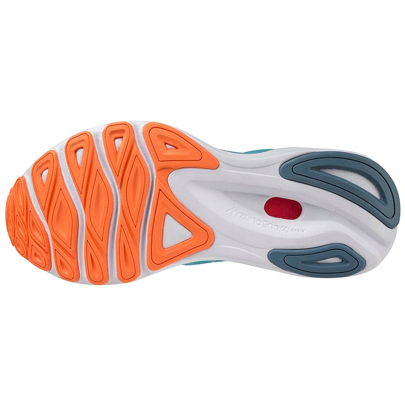 Chaussures Running / Trail Femme Mizuno Wave Skyrise 4