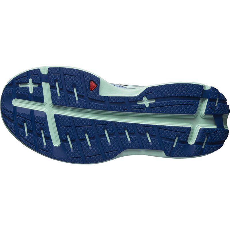 Chaussures Running Femme Salomon Aero Glide