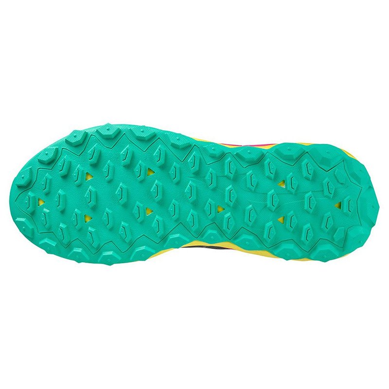 Chaussures Trail Femme Mizuno Wave Ibuki 4