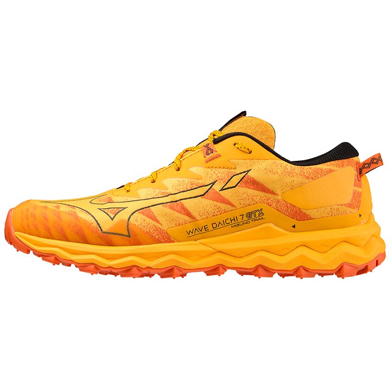 Chaussures Running Homme Mizuno Wave Daichi 7 GTX