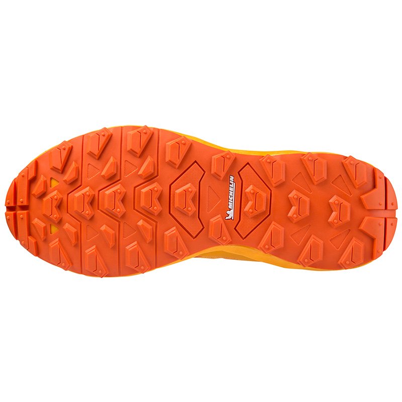 Chaussures Running Homme Mizuno Wave Daichi 7 GTX