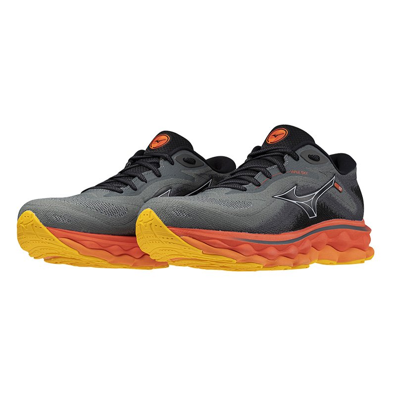 Chaussures Running Homme Mizuno Wave Sky 7