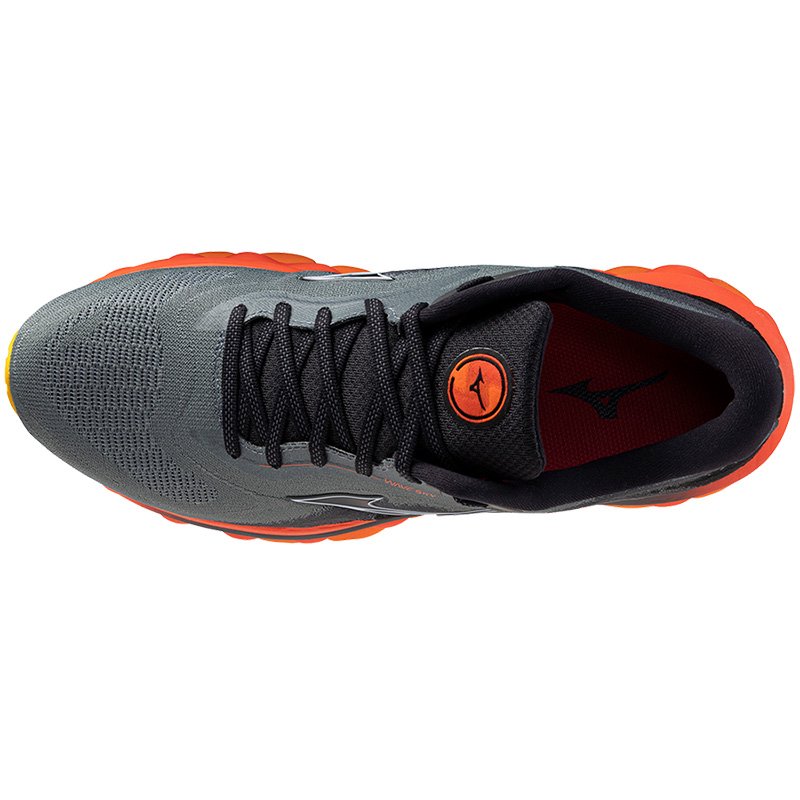 Chaussures Running Homme Mizuno Wave Sky 7