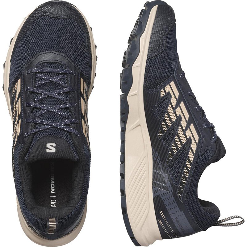 Chaussures Trail Homme Salomon Wander